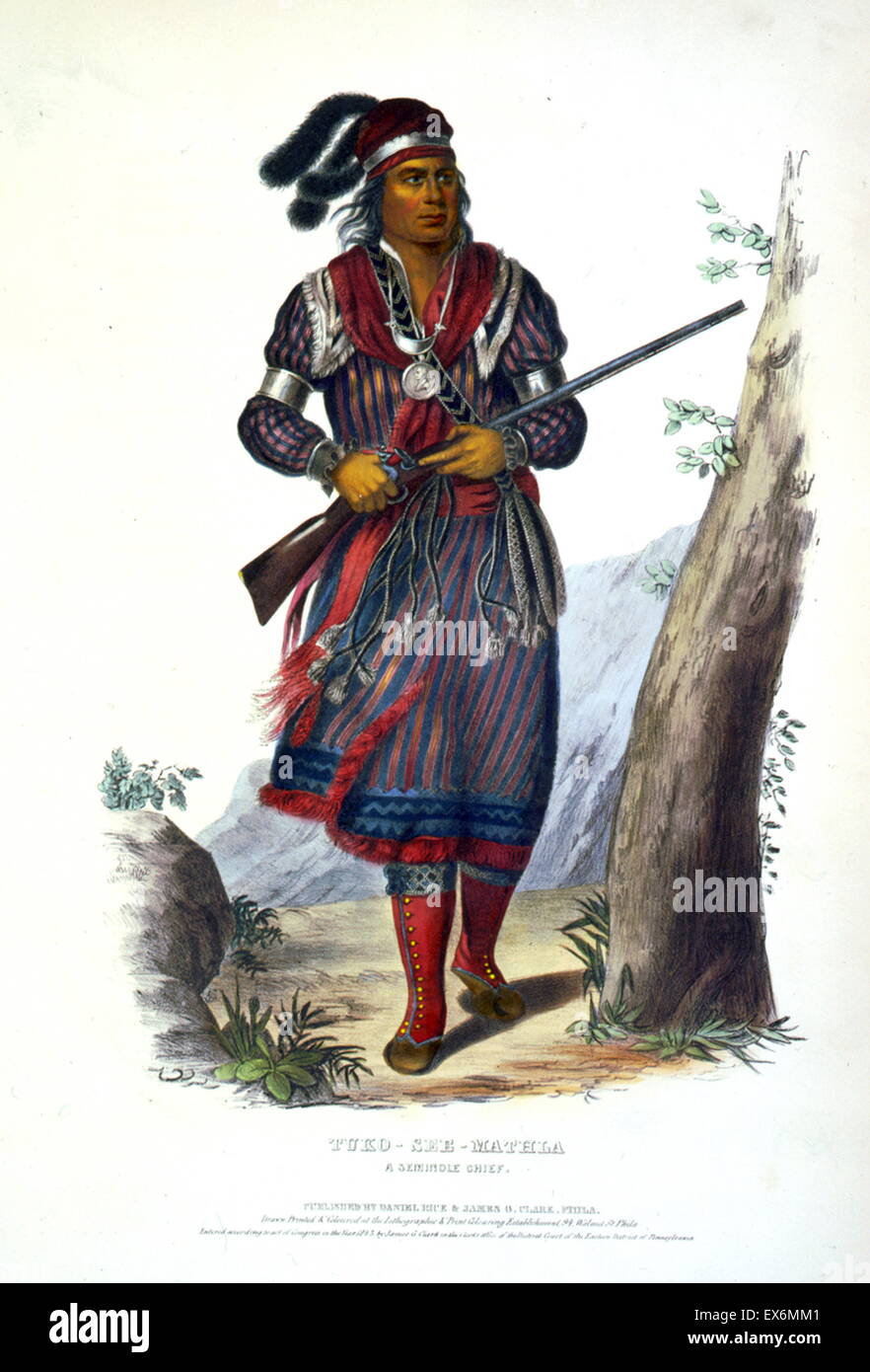 The Seminole Tribe of Florida: A Legacy of Resilience and Wealth