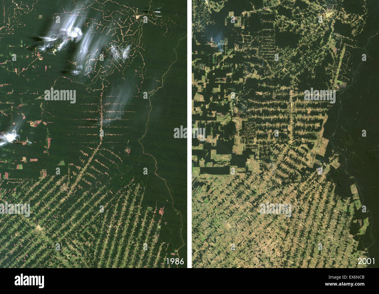Satellite view of deforestation in East Rondonia, Brazil in 1986 and 2001. This before and after image shows deforestation Stock Photo