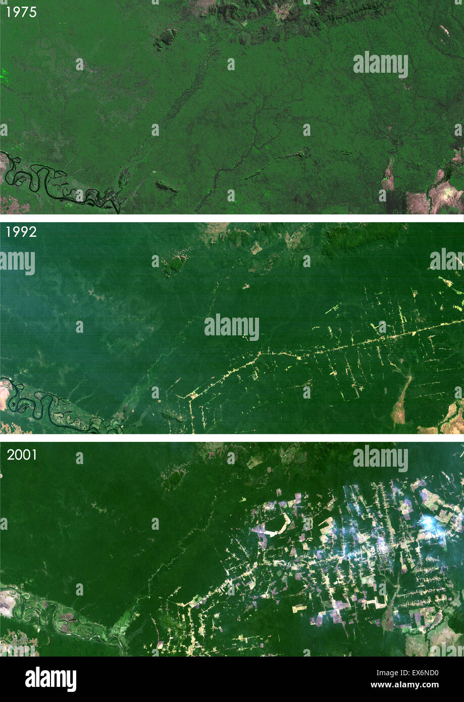 Satellite view of deforestation in West Rondonia, Brazil in 1975, 1992 and 2001. This before and after image shows Stock Photo