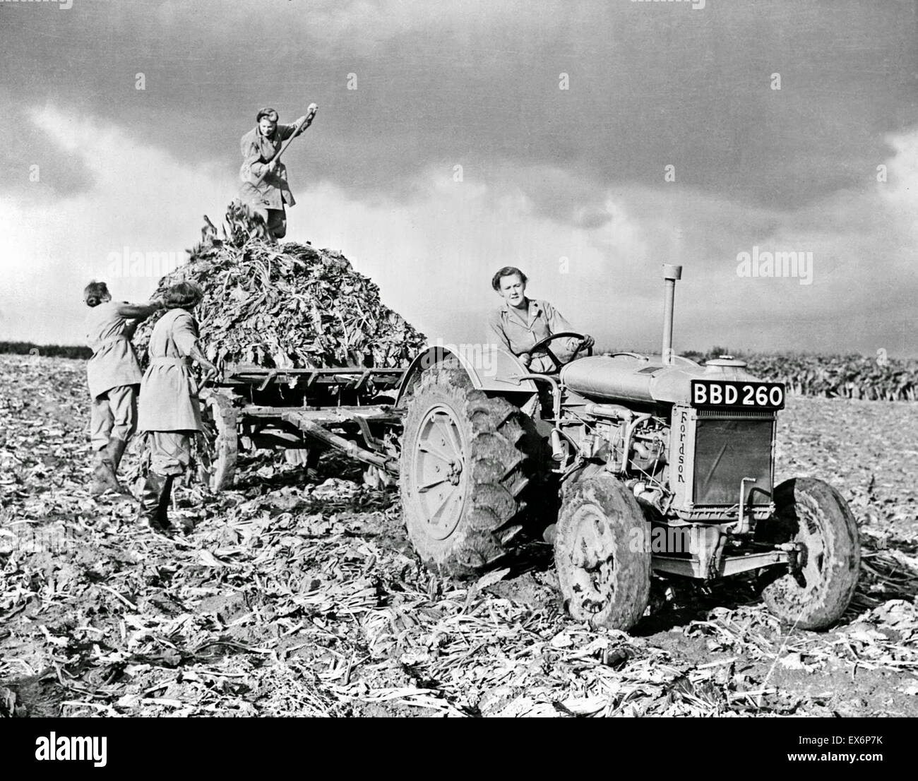World War two Home front in Britain: Fordson tractor with members of British Women's Land Army, 1940s Stock Photo