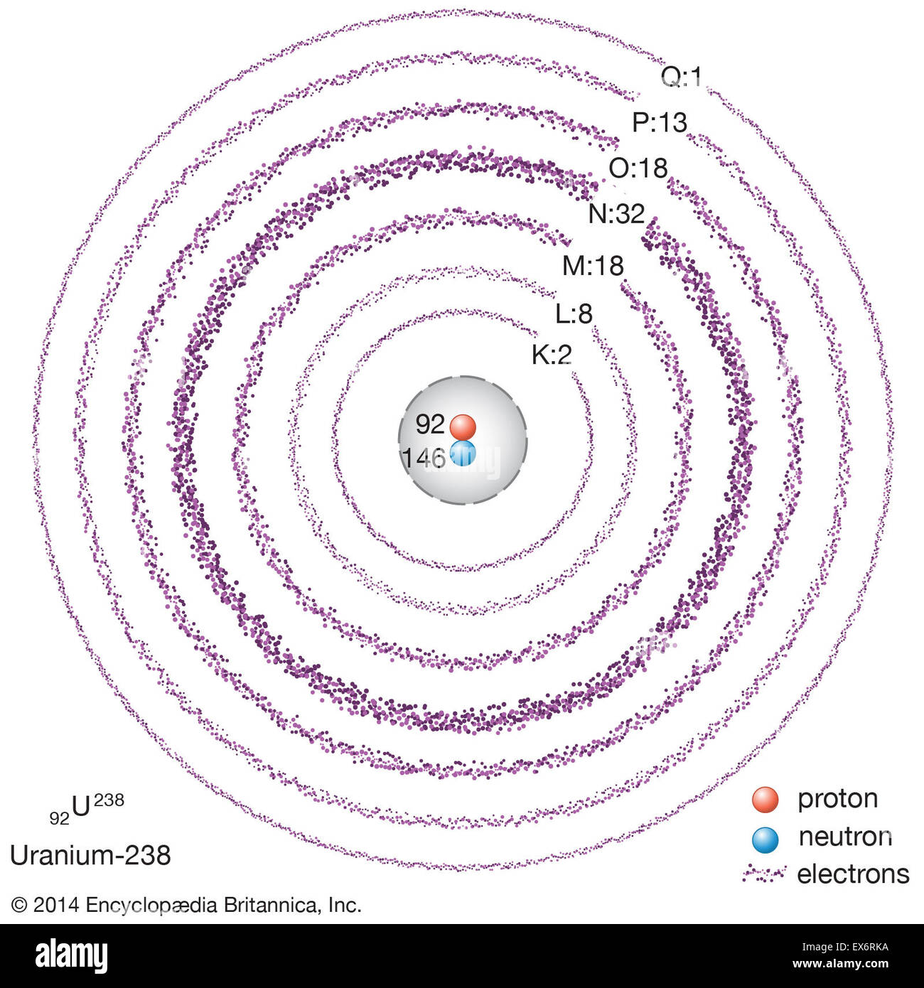 Uranium Atom Model