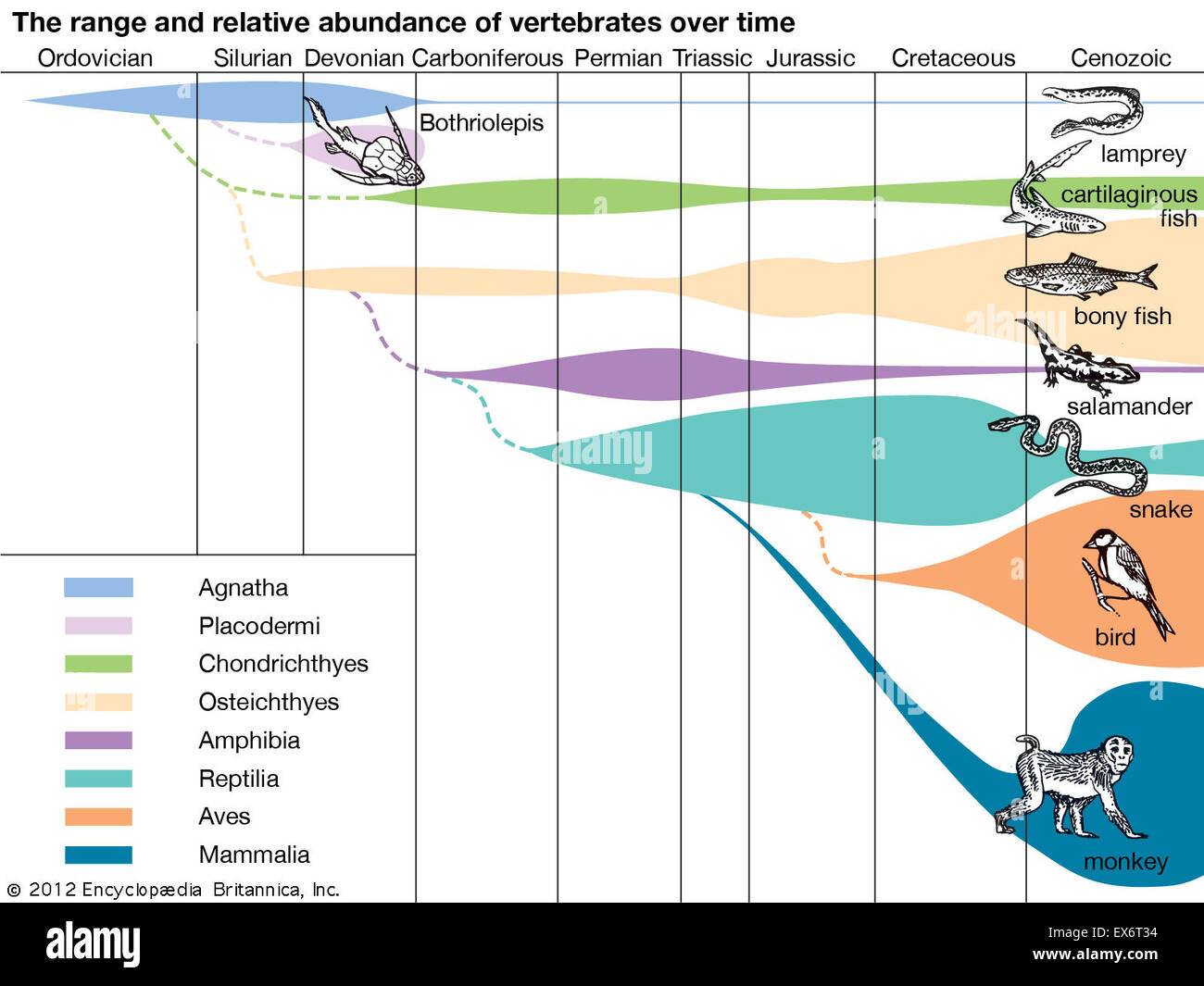 Range and abundance of vertebrates over time Stock Photo