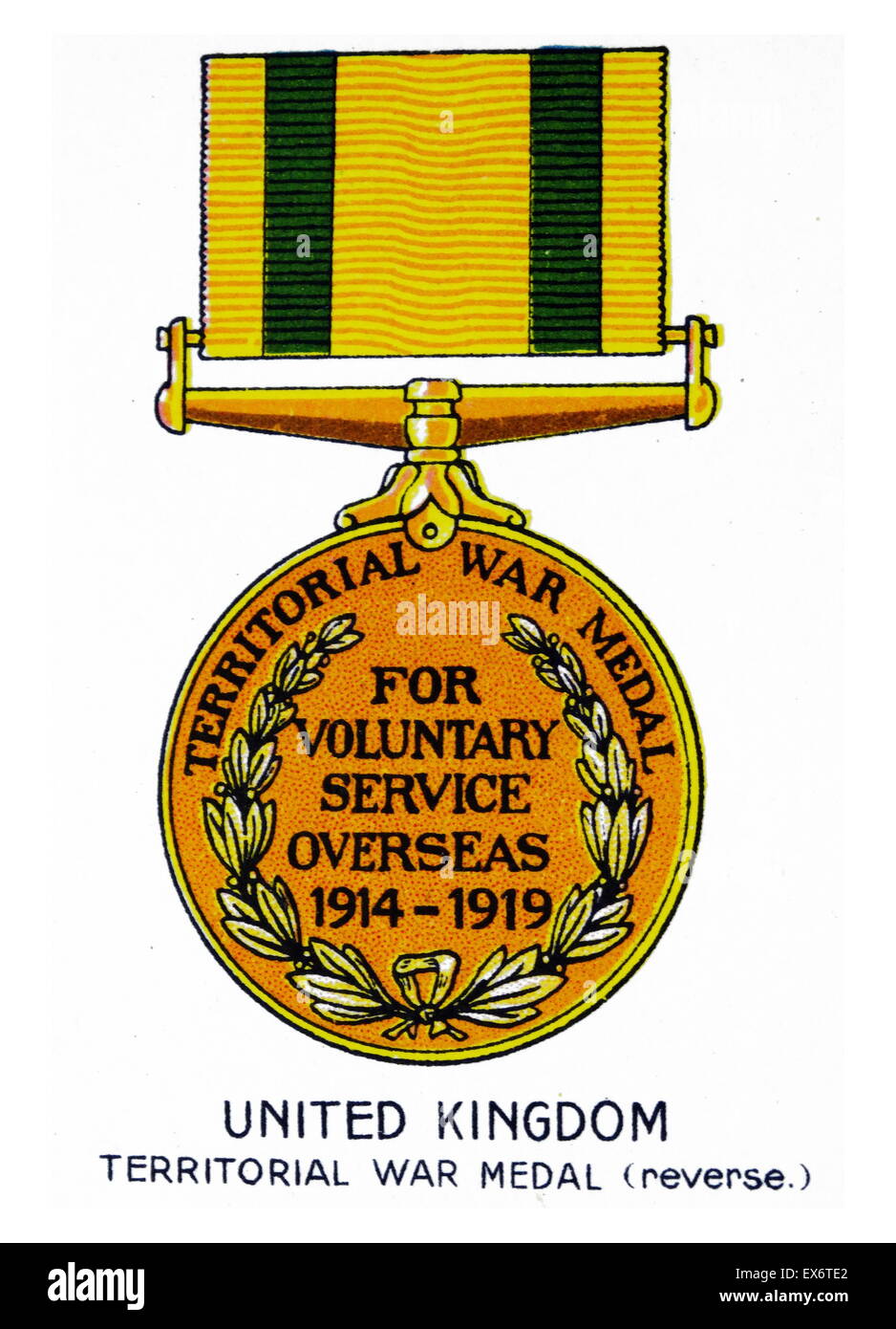 United Kingdom Territorial War Medal (reverse) World War 1. Stock Photo