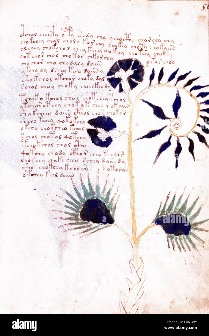 The Voynich manuscript. illustrated codex hand-written in an