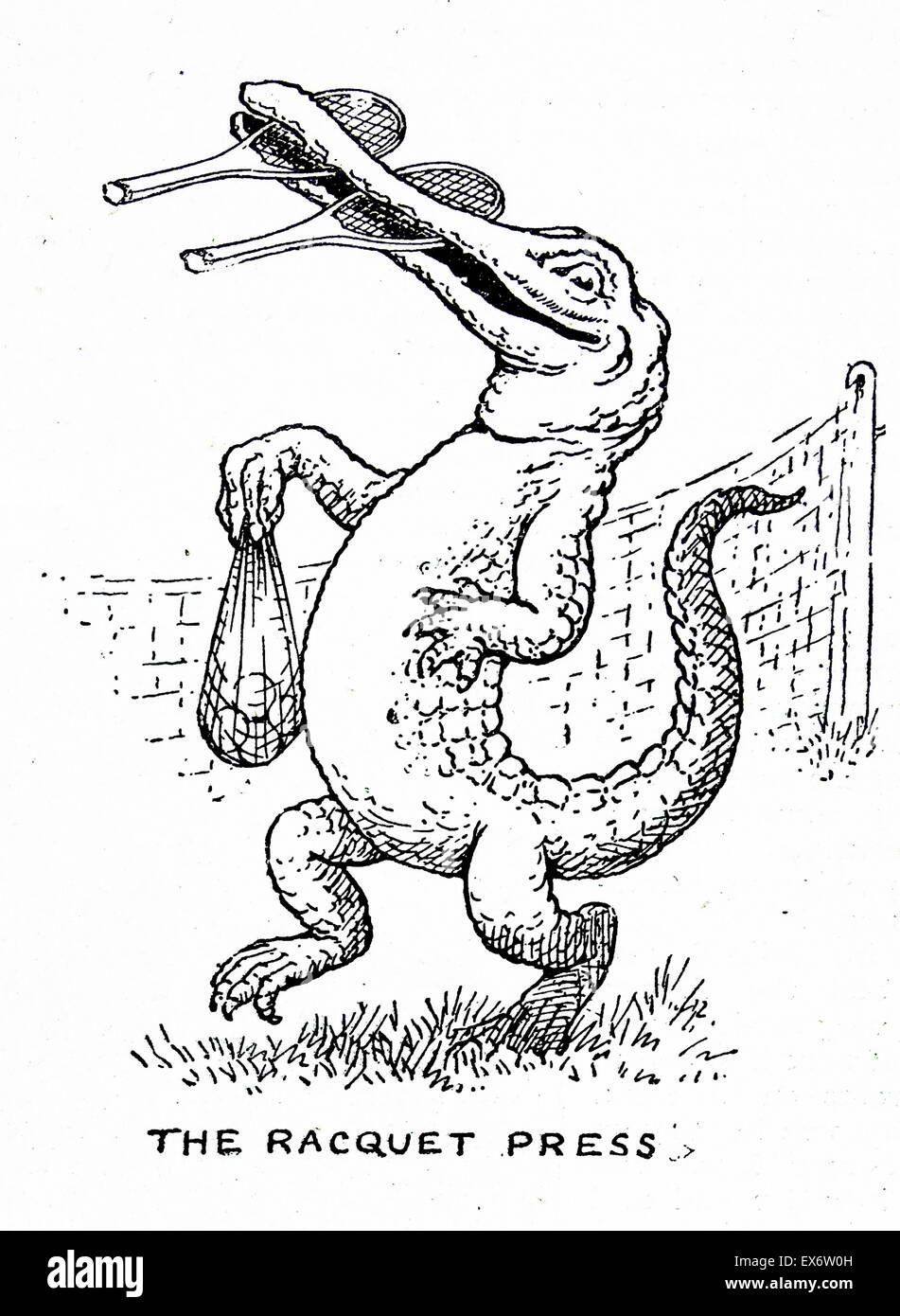 From a series of illustrations depicting a pelican 1900 Stock Photo