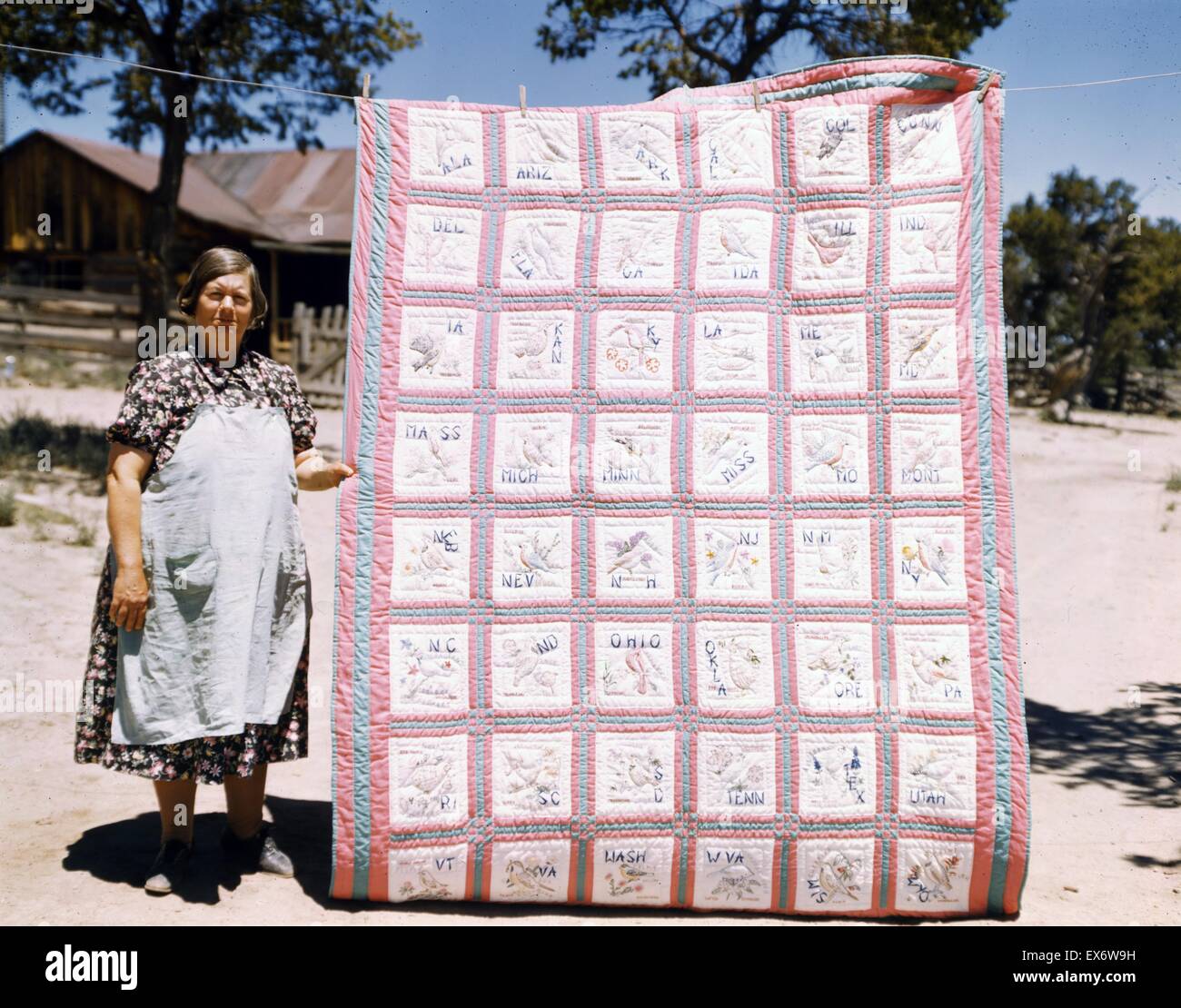 Mrs. Bill Stagg with state quilt Pie Town, New Mexico. A community settled by about 200 migrant Texas and Oklahoma farmers who filed homestead claims. Mrs Stagg helps her husband in the field with ploughing, planting, weeding and harvesting. She quilts du Stock Photo