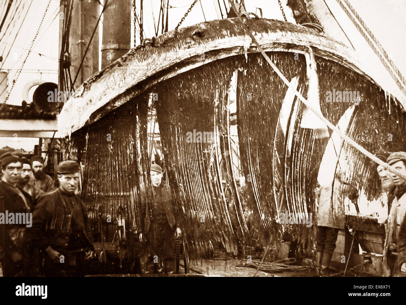 On board a whaling ship near Greenland - Victorian period Stock Photo