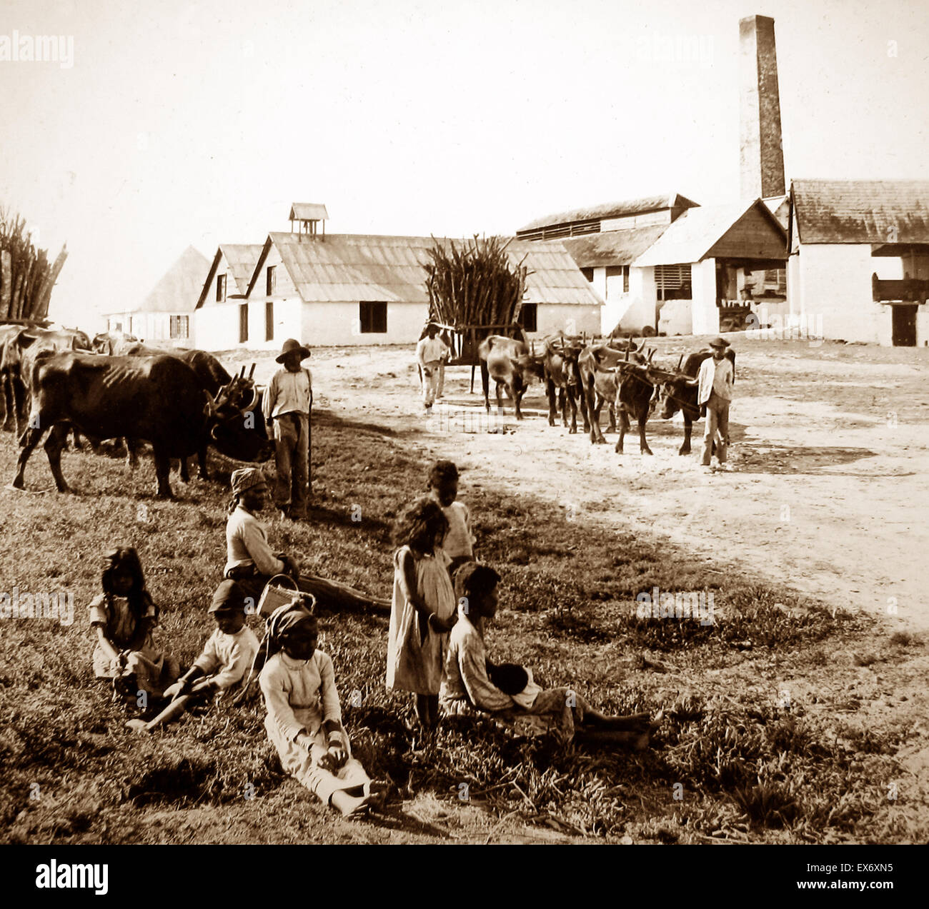Jamaica Sugar Mill - Victorian period Stock Photo