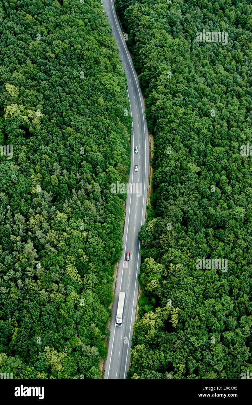 Road diverging through a forest, above view Stock Photo
