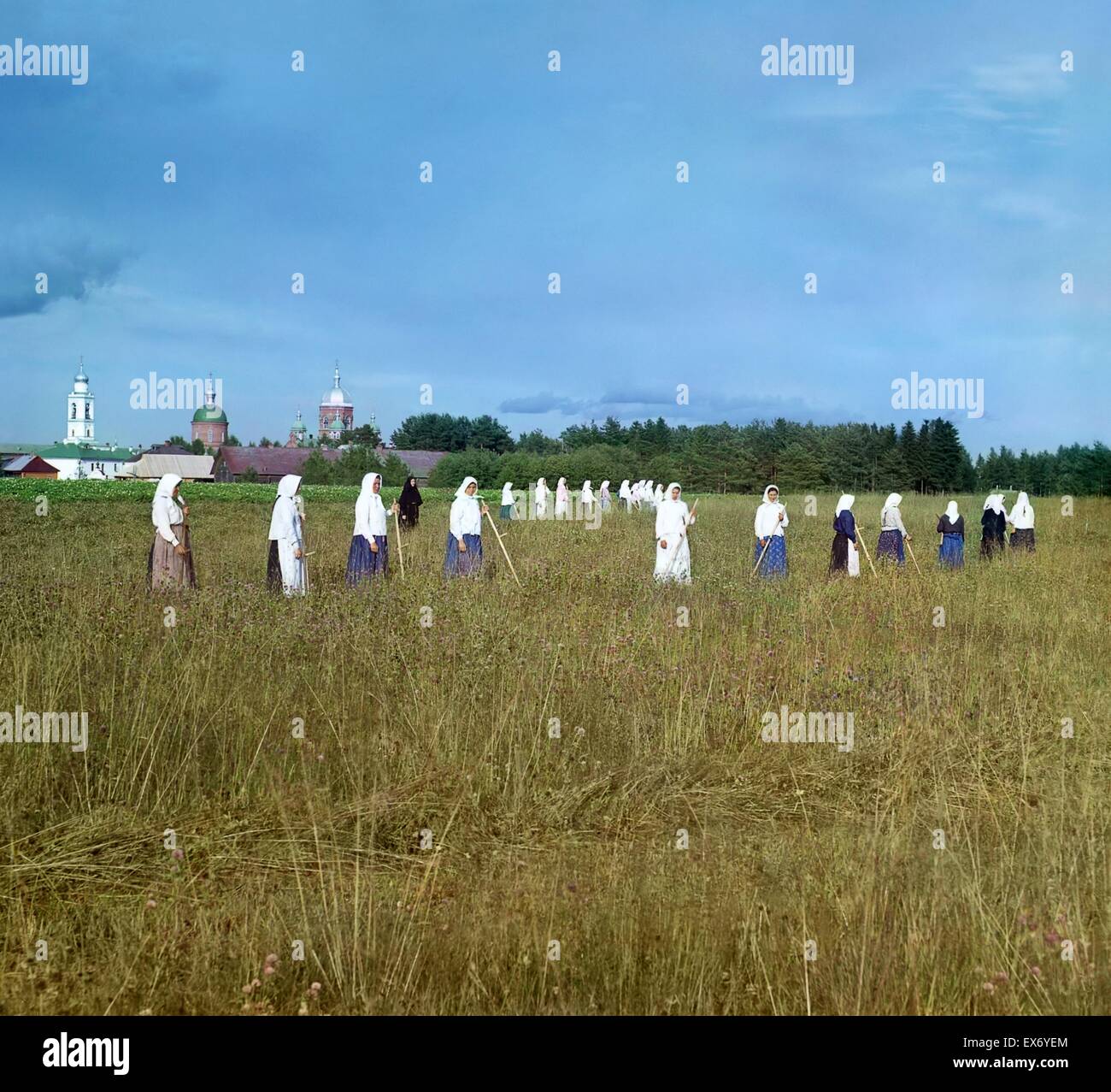 Russian peasant women work on the land during summer in Tsarist Russia 1905 Stock Photo