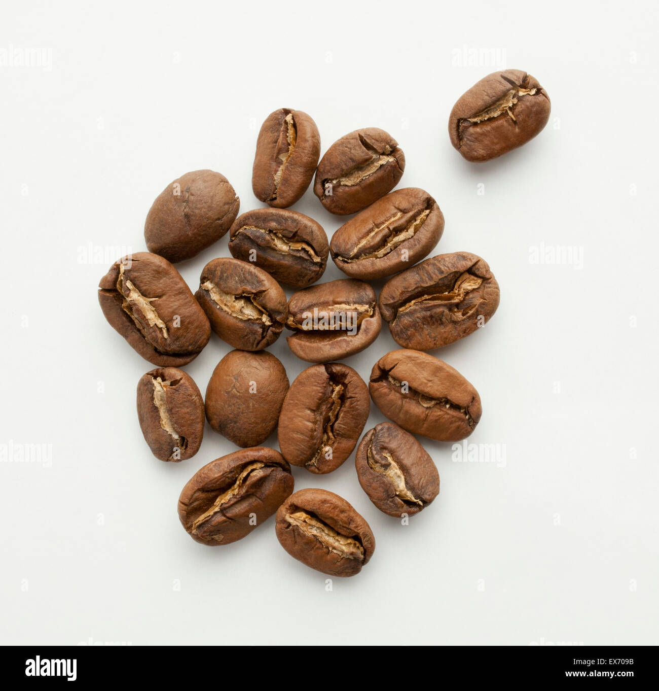 Nicaragua, Pacamara washed coffee beans Stock Photo