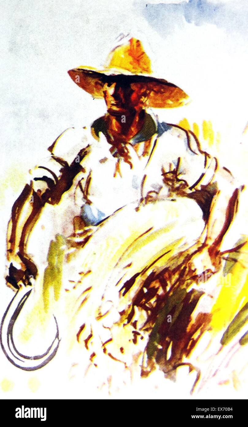 Contemporary illustration of a Spanish peasant farming, during the