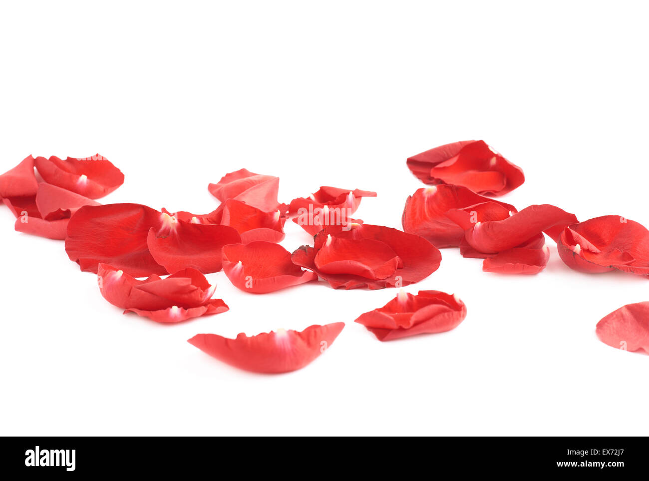 Red rose petals flying on hi-res stock photography and images - Alamy