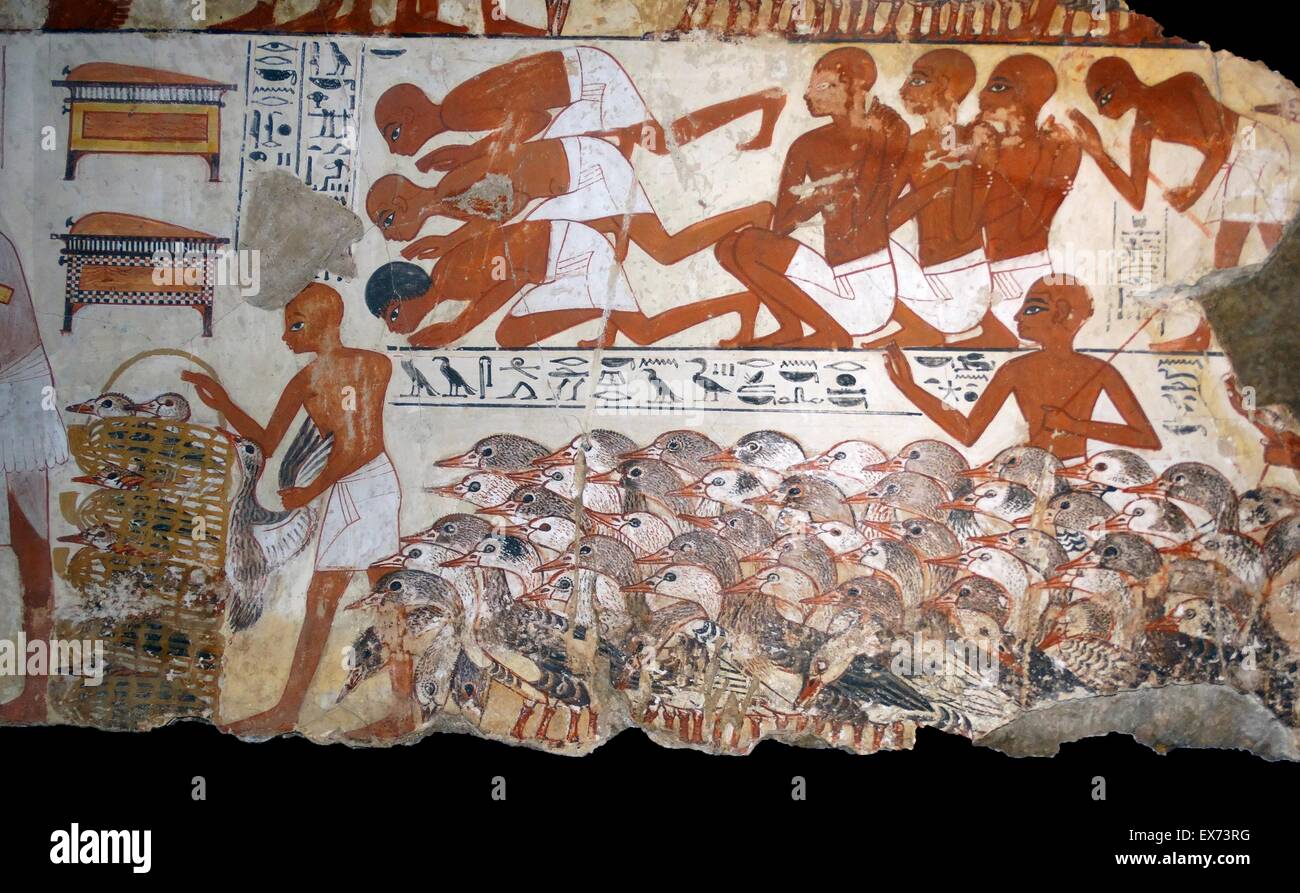 Fresco from the tomb of Nebamun, Fragment of a polychrome tomb-painting showing mass of geese with their farmers from the presentation of the geese scene. Thebes, Egypt 18th Dynasty, around 1350 BC Stock Photo