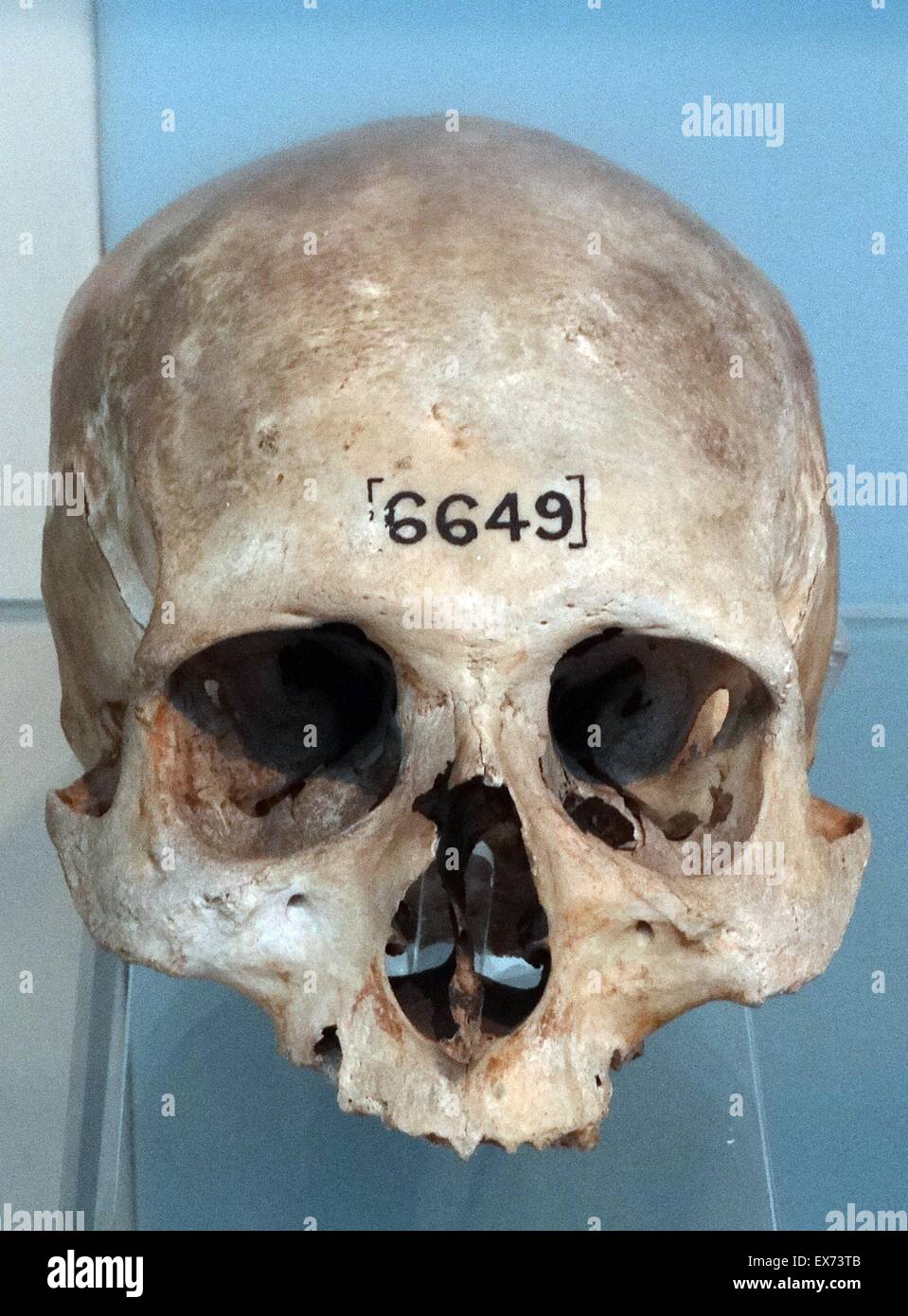 600 300 High Resolution Stock Photography And Images Alamy
