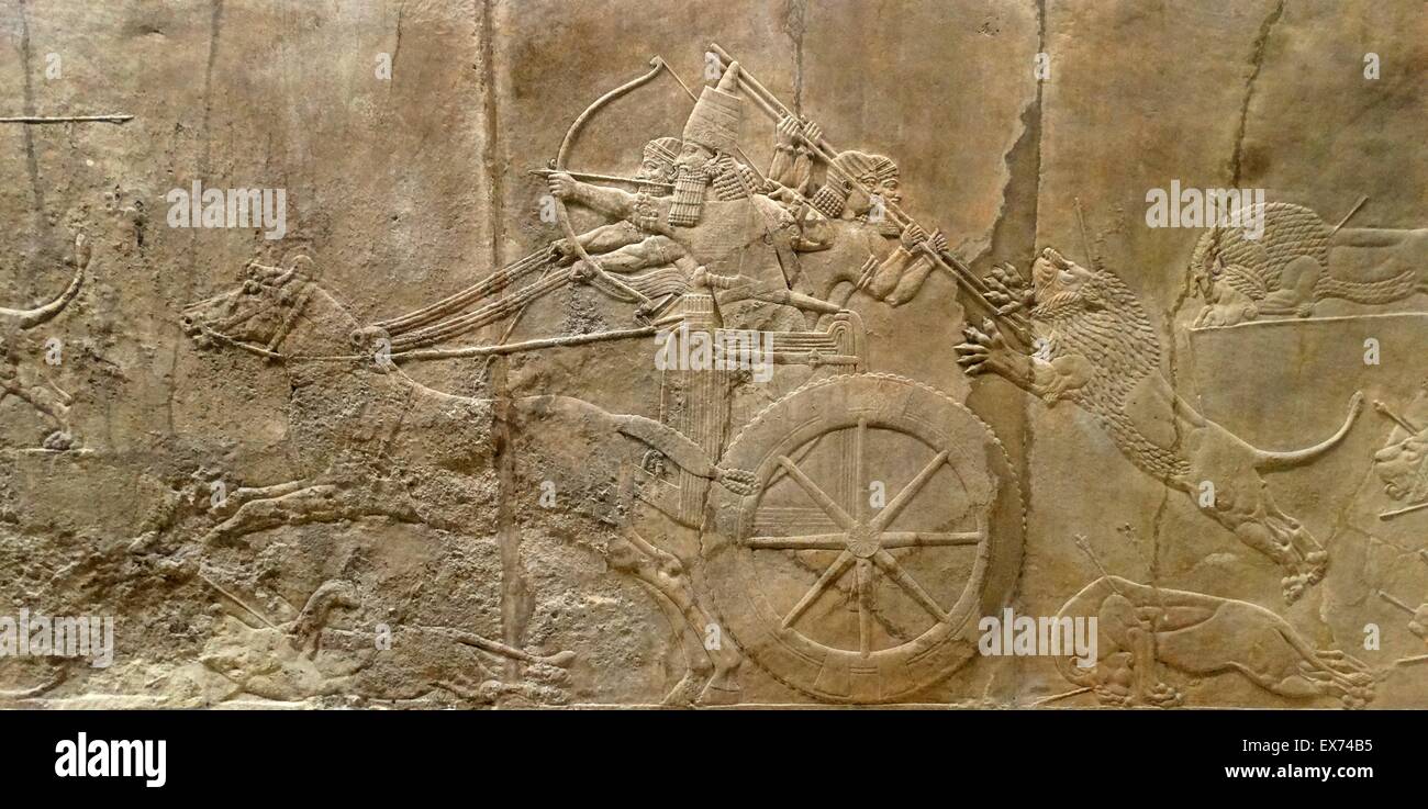 Relief depicting The royal lion hunt. Assyrian, about 645-635 BC From Nineveh, North Palace. The king, with his high distinctive hat, races round the arena in his chariot, shooting arrows at a succession of lions; one arrow, in mid-air, follows a wounded Stock Photo