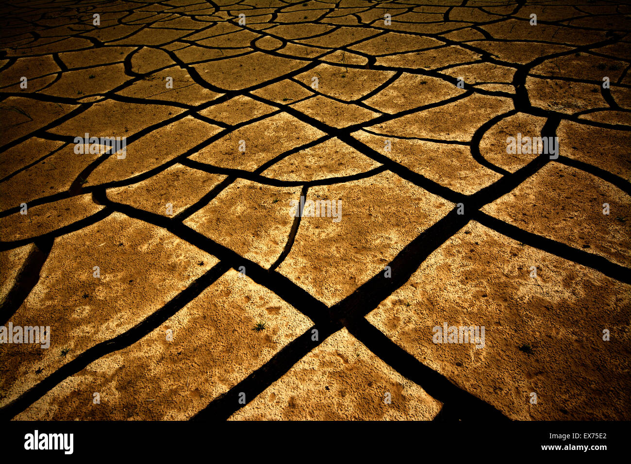 Dry cracking soil hi-res stock photography and images - Alamy