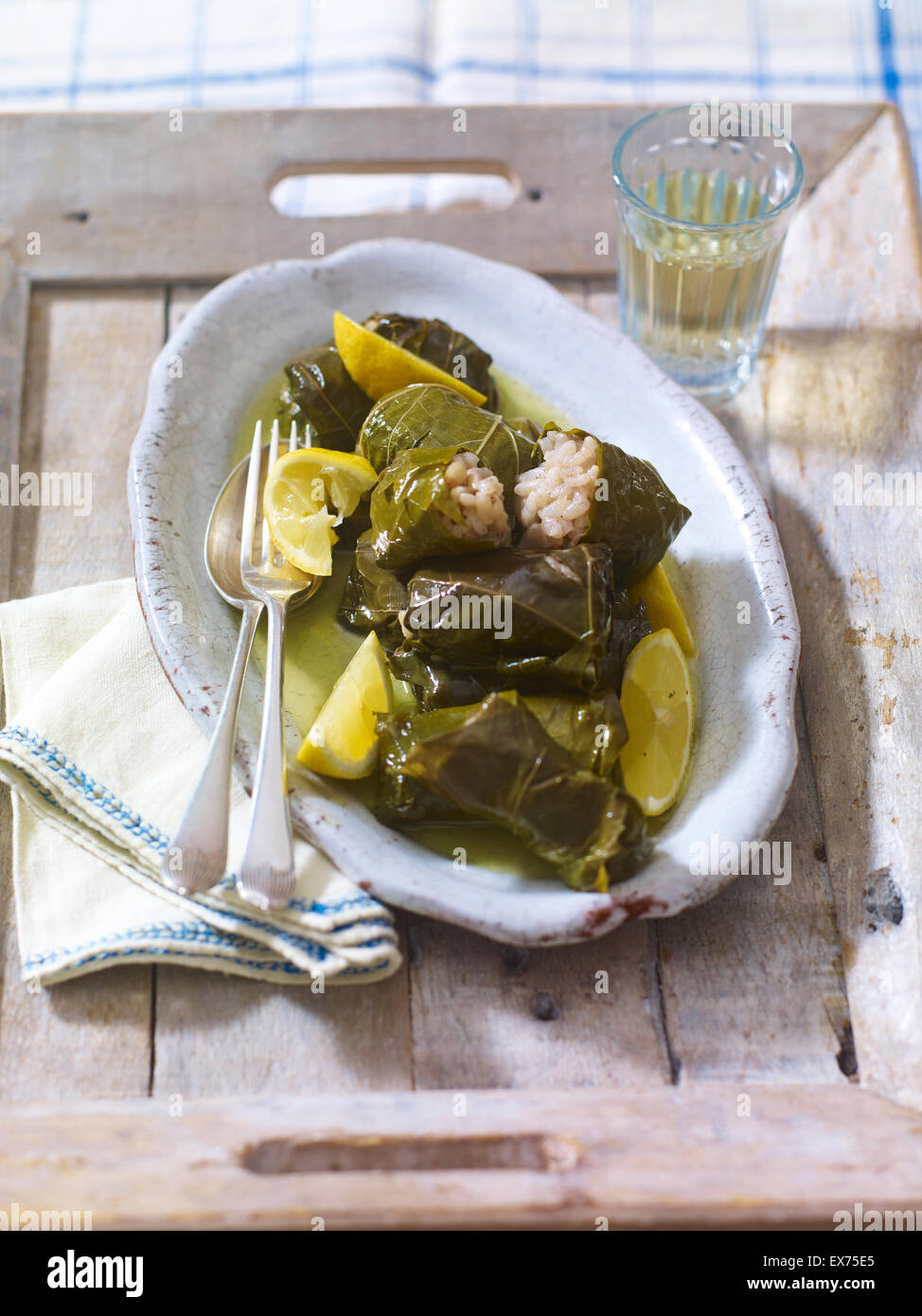 Stuffed vine leaves Stock Photo Alamy