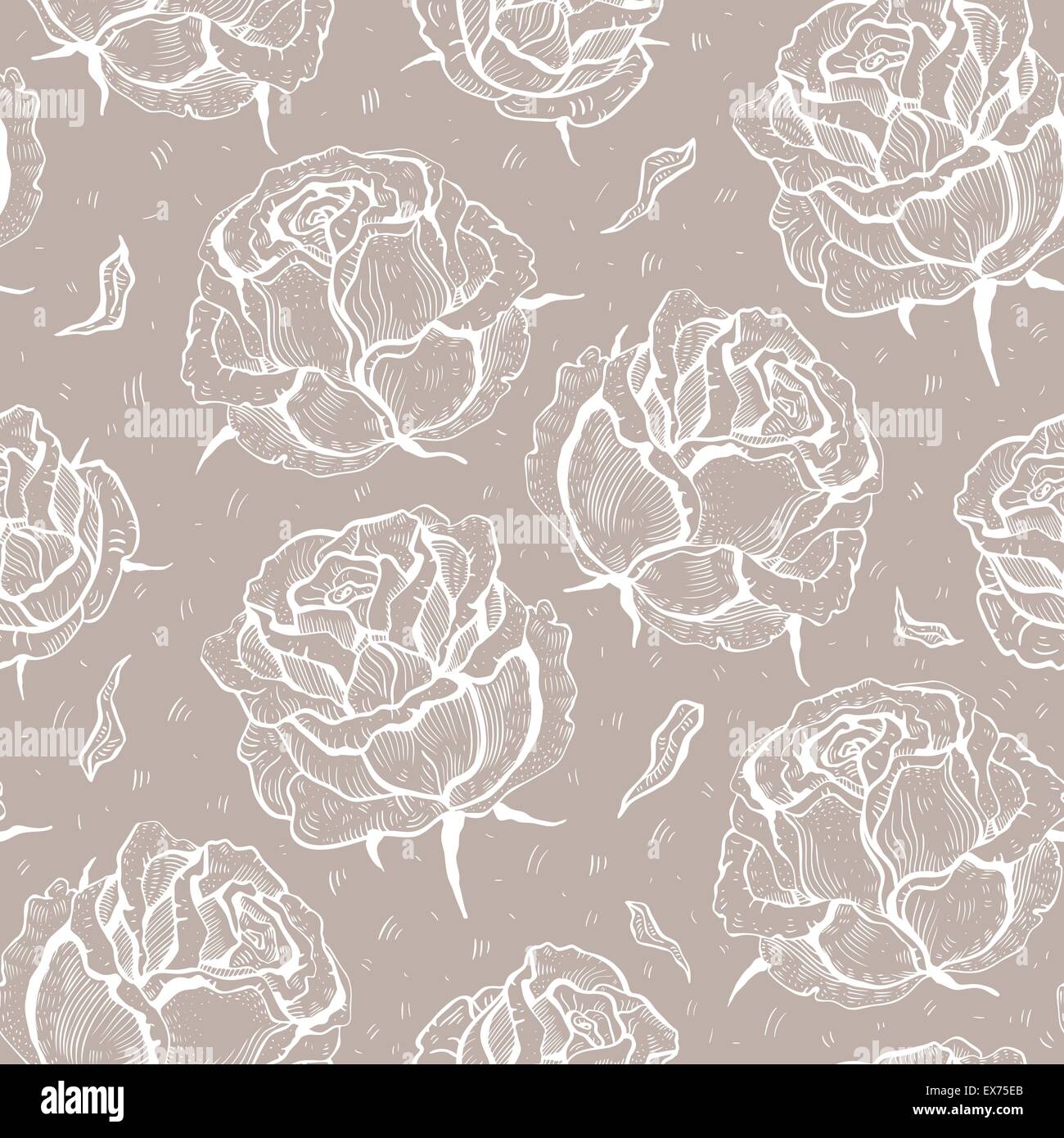 Vintage roses no background Stock Vector Images - Alamy
