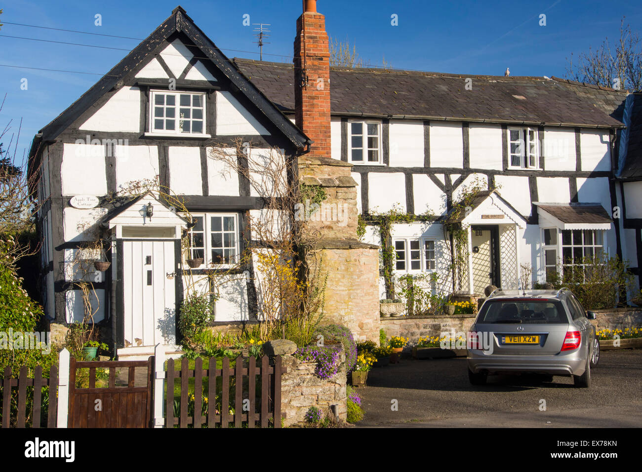 Amateur amateur guide guide historian historian london medieval tudor, creampie pornstars