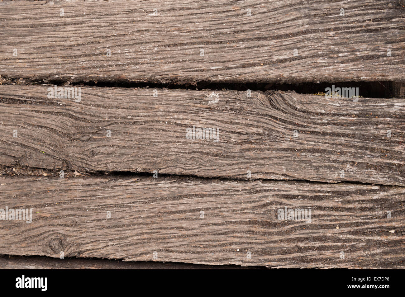 Gnarled weathered old English oak timber four by two inch beams used for deteriorating bridge footpath showing worn grain Stock Photo