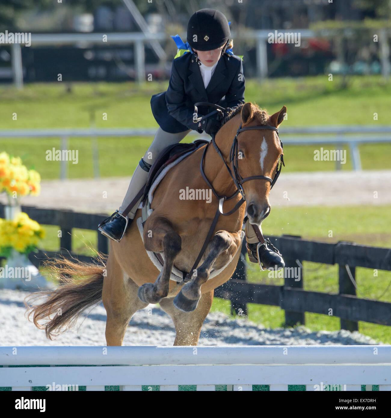 Female youth rider in show jumping competition Stock Photo