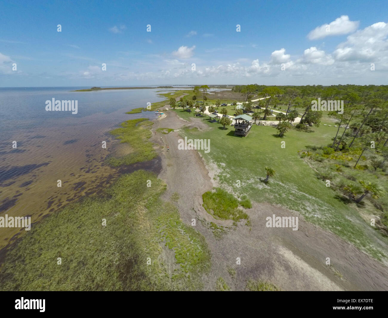 Seagrasses at Hagen's Cove, Big Bend Wildlife Management Area Steinhatchee, Florida Stock Photo