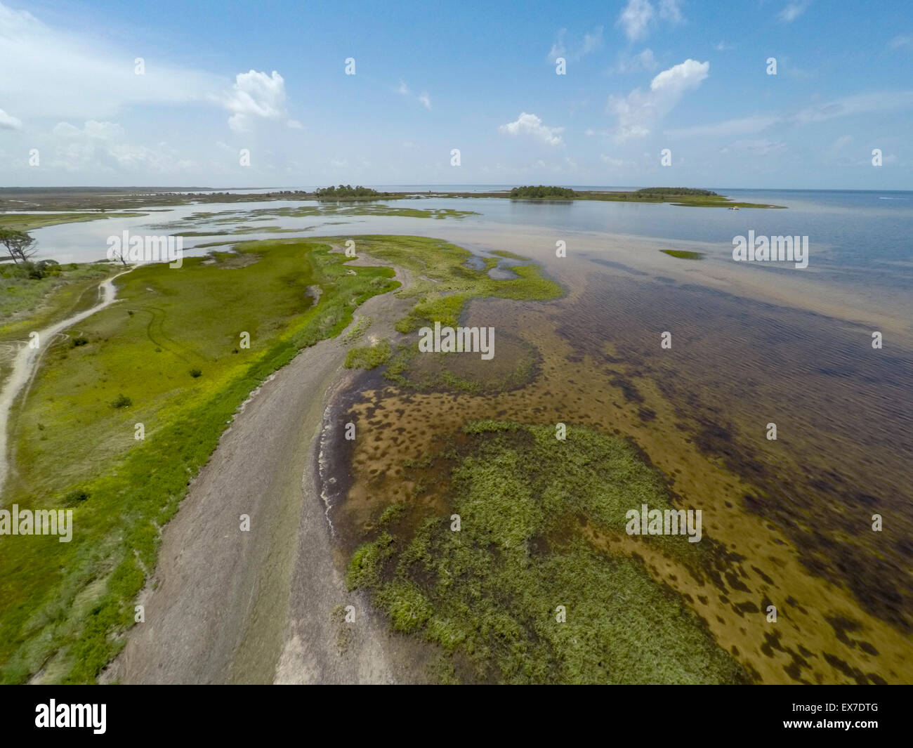 Hagen's Cove, Big Bend Wildlife Management Area Steinhatchee, Florida
