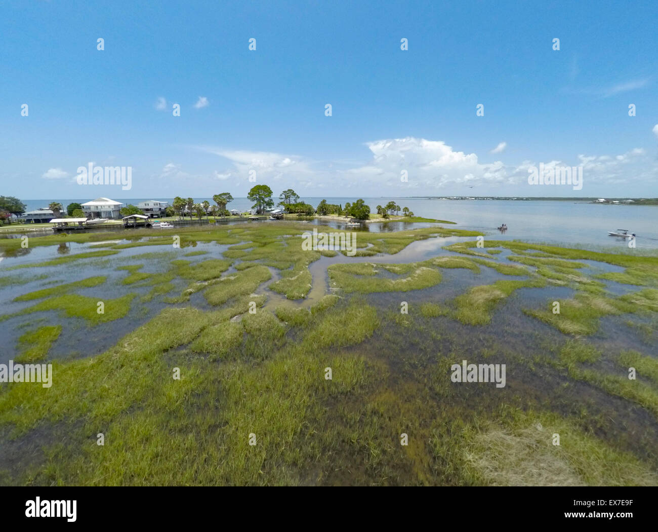 Dark Island, Big Bend Seagrasses Aquatic Preserve, Florida Stock Photo