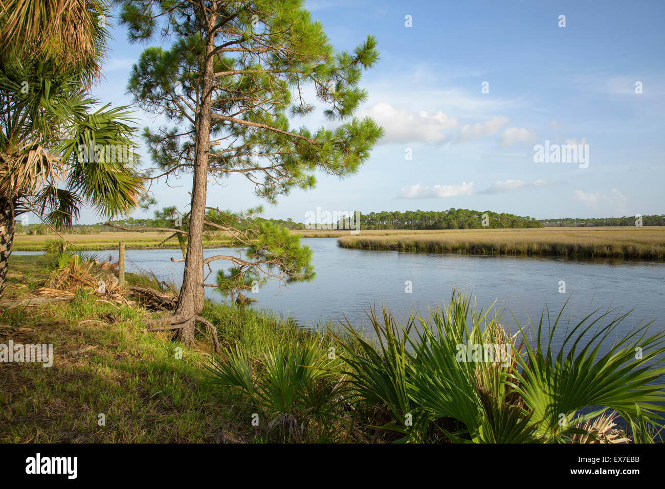 Fish Creek, Big Bend Seagrasses Aquatic Preserve, Florida Stock Photo