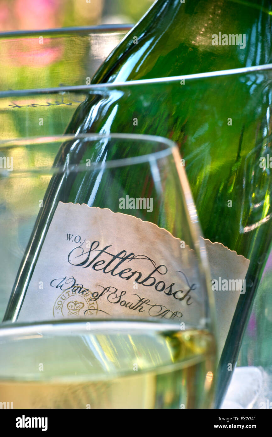 Stellenbosch South Africa wine bottle with poured white wine glass in foreground with cooler in sunny alfresco floral garden situation Stock Photo