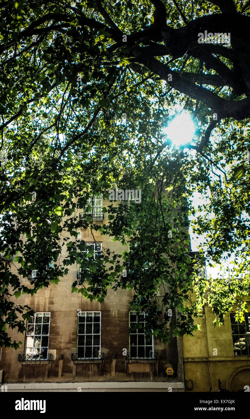 Abbey green bath hires stock photography and images Alamy