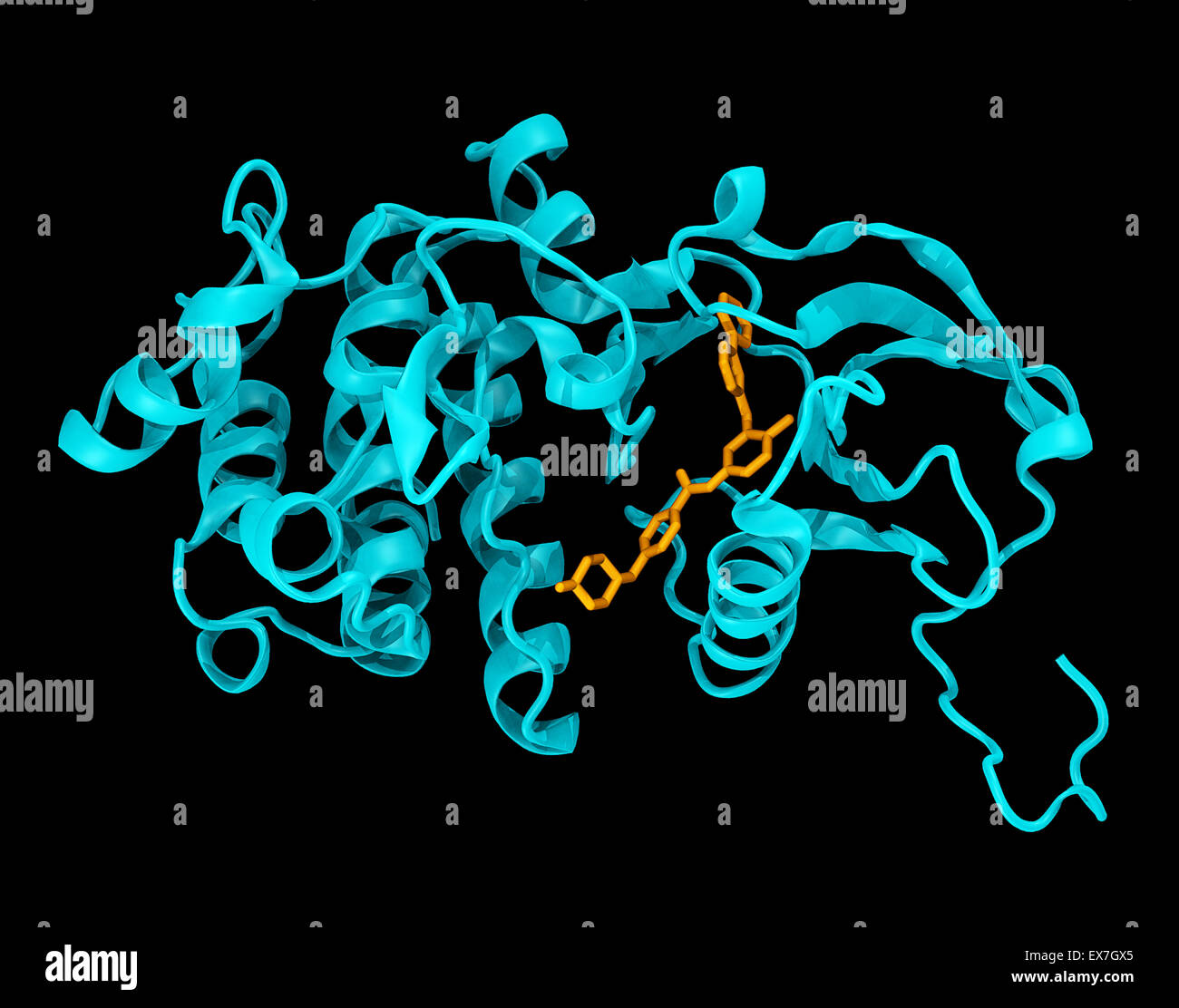 Crystal structure of the c-abl kinase domain (cyan) in complex with imatinib (Gleevec) (colored orange). Stock Photo
