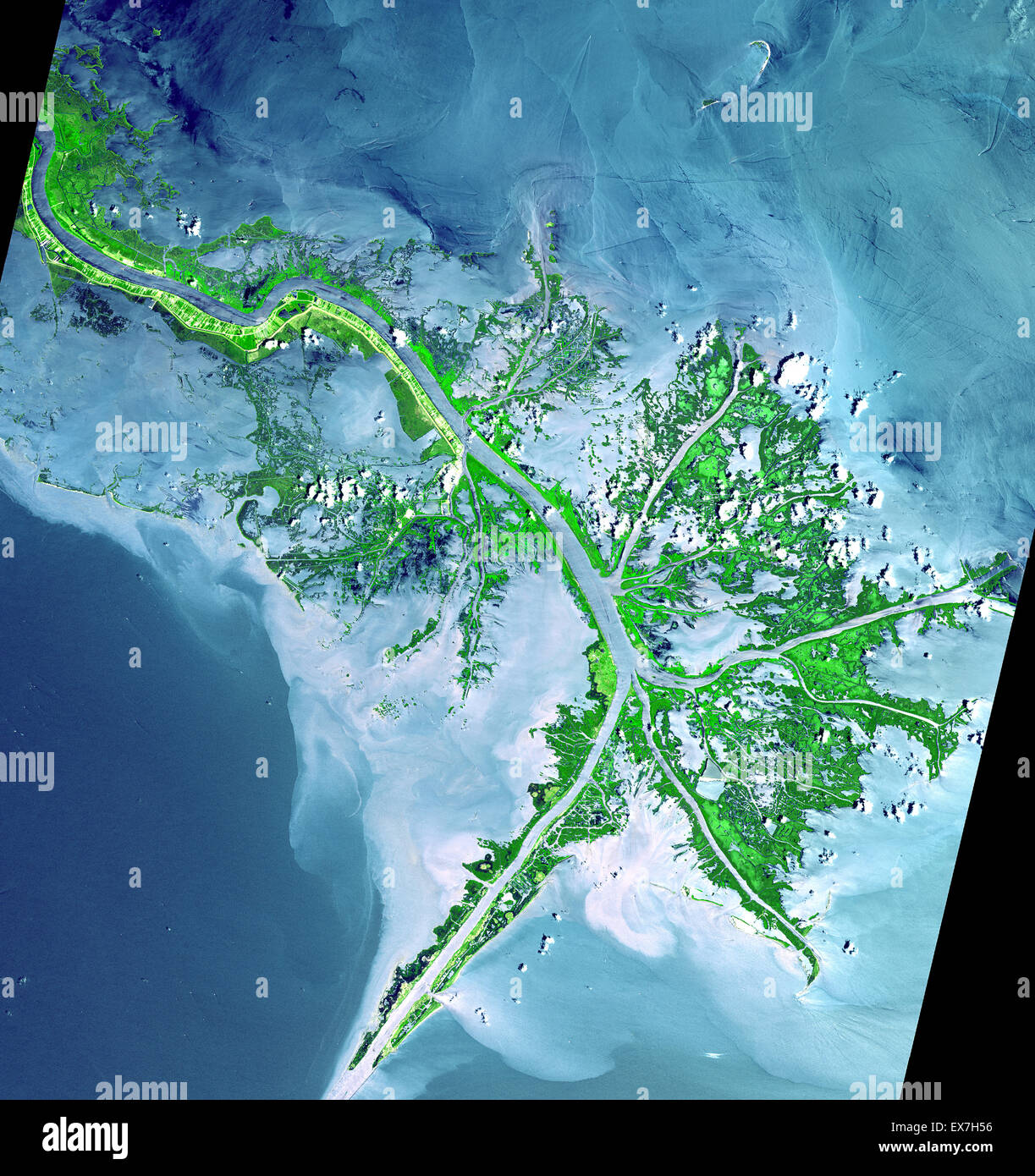 Satellite image of the Mississippi River Delta enters the Gulf of Mexico Stock Photo