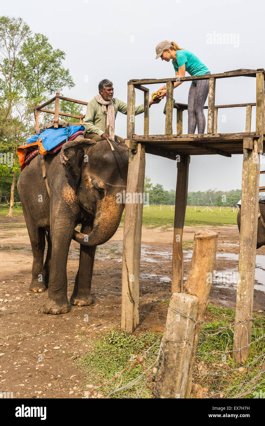 CHITWAN, NEPAL-MARCH 27: Elephant safari 27, 2015 in Chitwan, Nepal ...