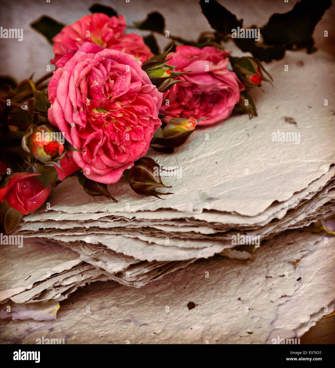 Vintage romantic background with beautiful white roses, petals a Stock ...