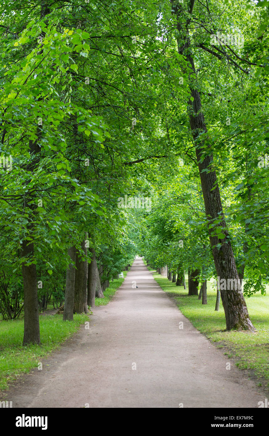 Park with road Stock Photo Alamy