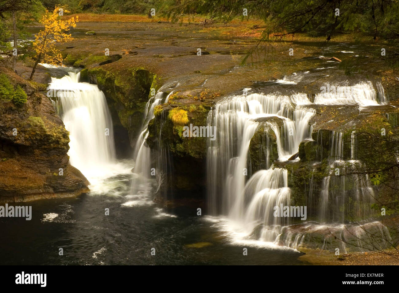 Lower Lewis River Falls, Gifford Pinchot National Forest, Washington ...