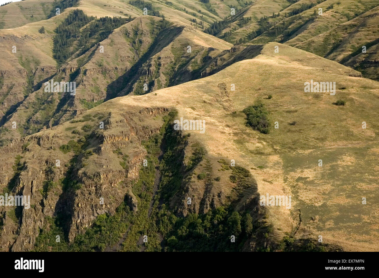 Grande Ronde River canyon at Rattlesnake Grade, Asotin County