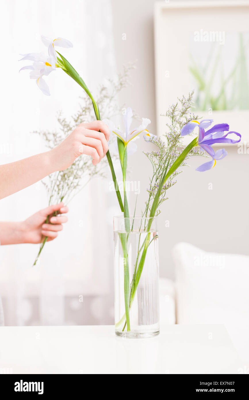 Hands putting flowers into vase Stock Photo