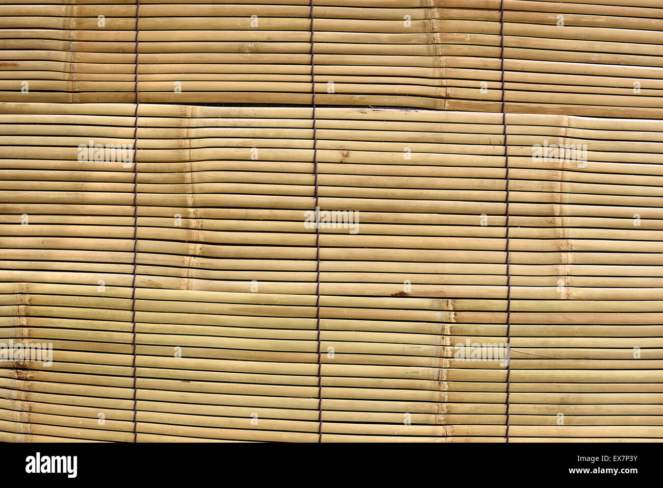 Bamboo floor texture Stock Photo - Alamy