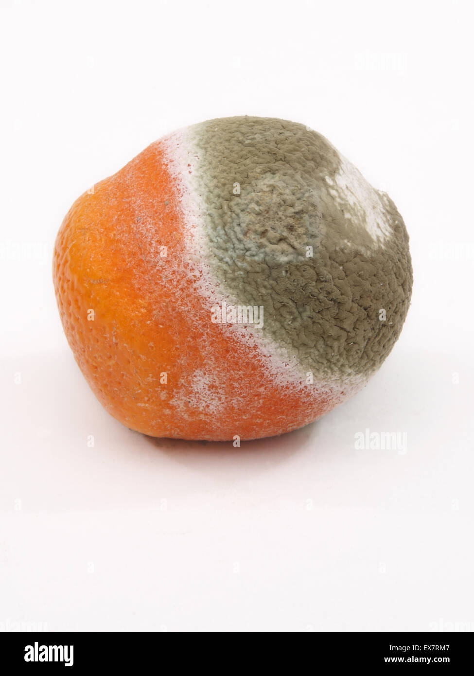 Moldy fruit hires stock photography and images Alamy