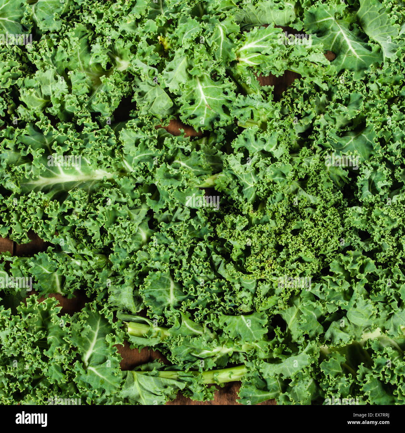 Green curly kale leaves for use as background Stock Photo