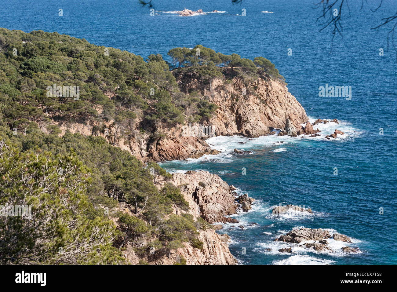 Agulla de Castell area. Area of Natural Interest Castell-Cap Roig Formigues Islands.  Palamos. Stock Photo