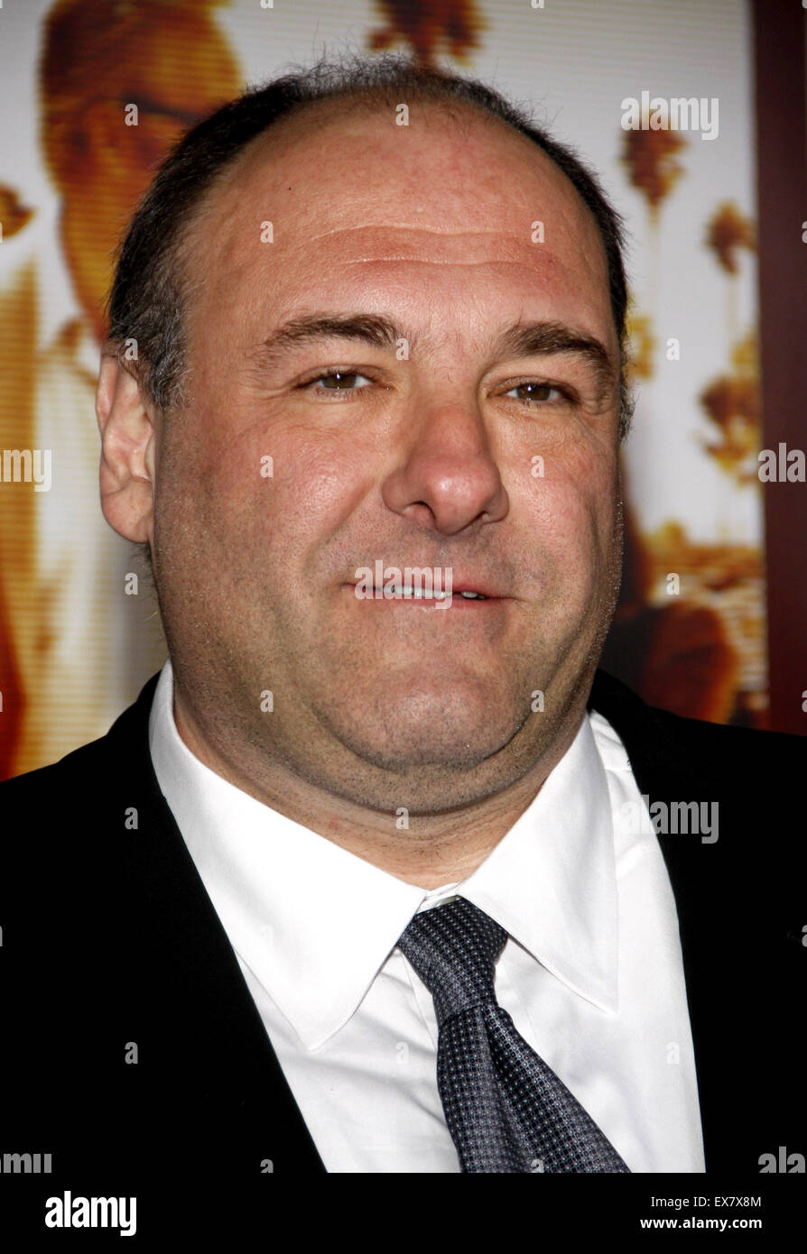 James Gandolfini at the HBO's 'Cinema Verite' Los Angeles Premiere held at the Paramount Studios in Hollywood on April 11, 2011. Stock Photo
