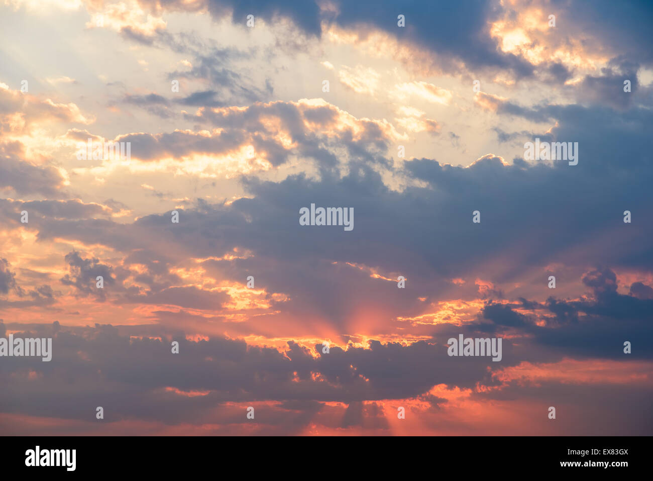 Summer Sunset With Beautiful Cloudy Sky Stock Photo - Alamy