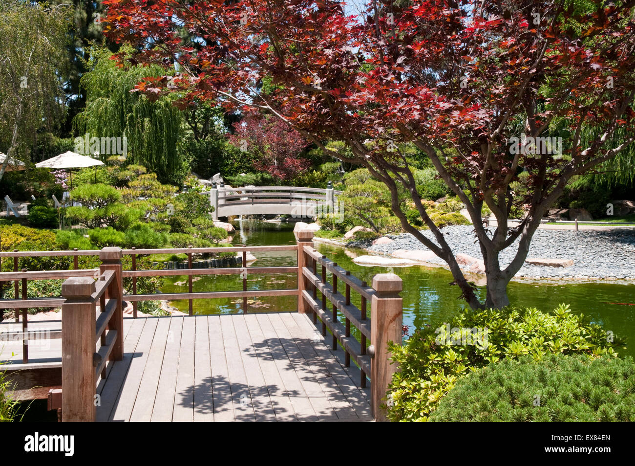 The Earl Burns Miller Japanese Garden at the campus of California State University, Long Beach, California Stock Photo