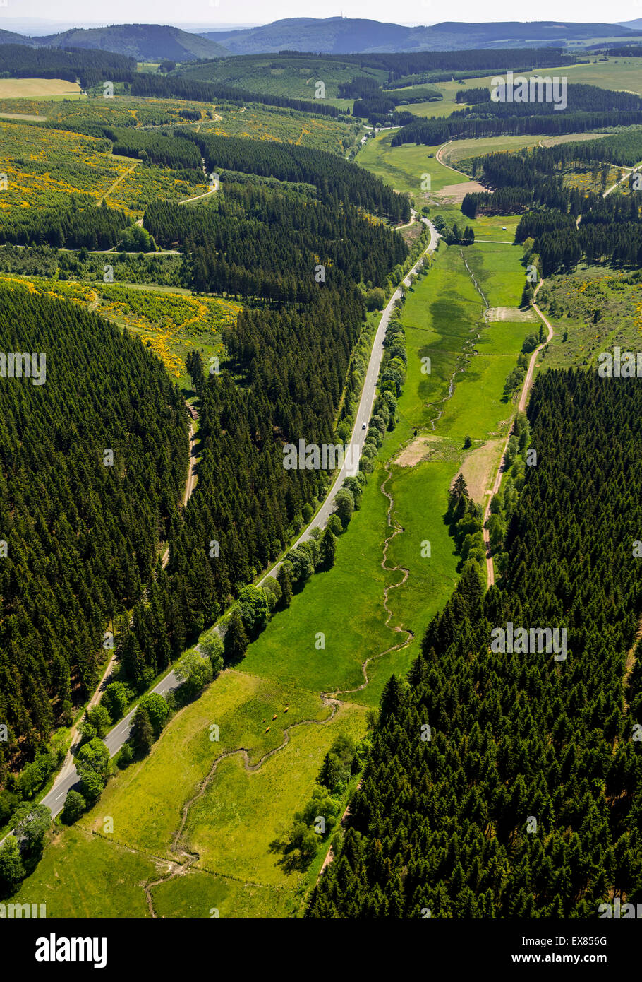 Upper reaches of the Ruhr, Ruhr valley with pastures, Winterberg, Sauerland, North Rhine-Westphalia, Germany Stock Photo