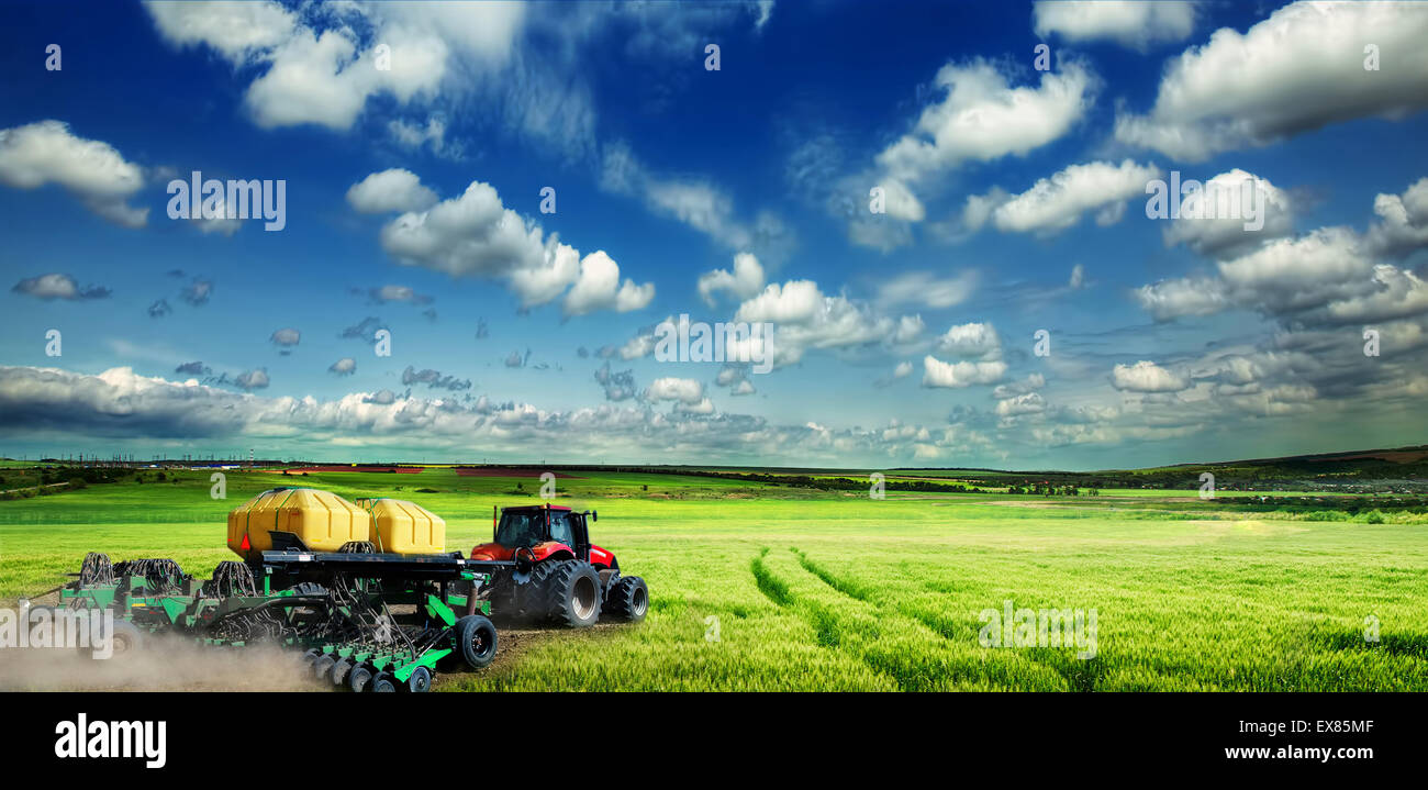 Green meadow in mountain. Composition of nature. Stock Photo