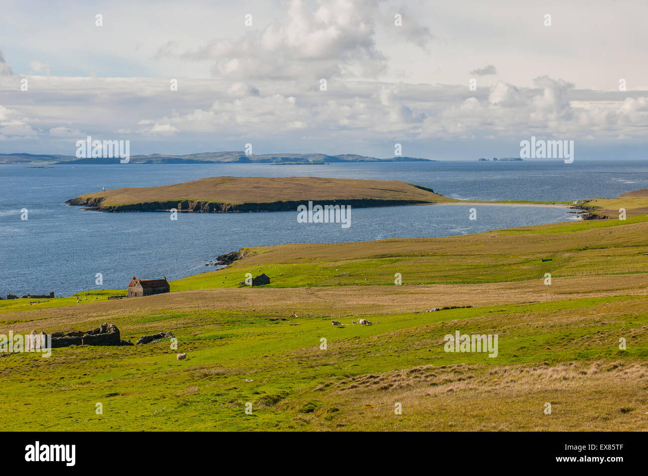 Coastline, Yell, Shetland Islands, Scotland, United Kingdom Stock Photo